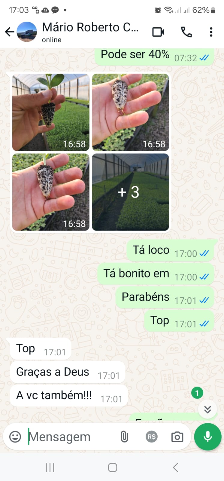 Depoimento de Mario